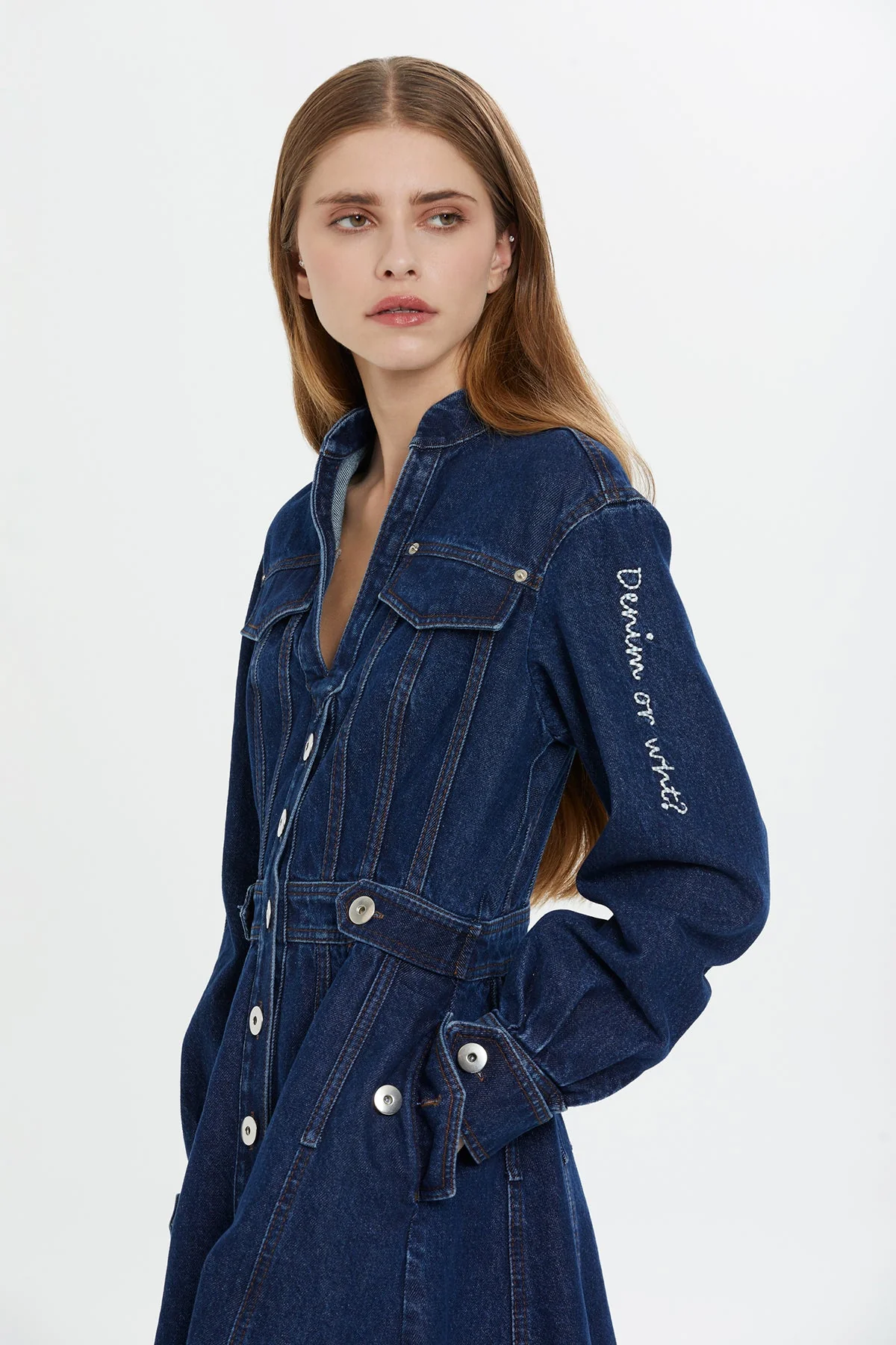 Blue Long-Sleeve Denim Midi Dress - Image 3