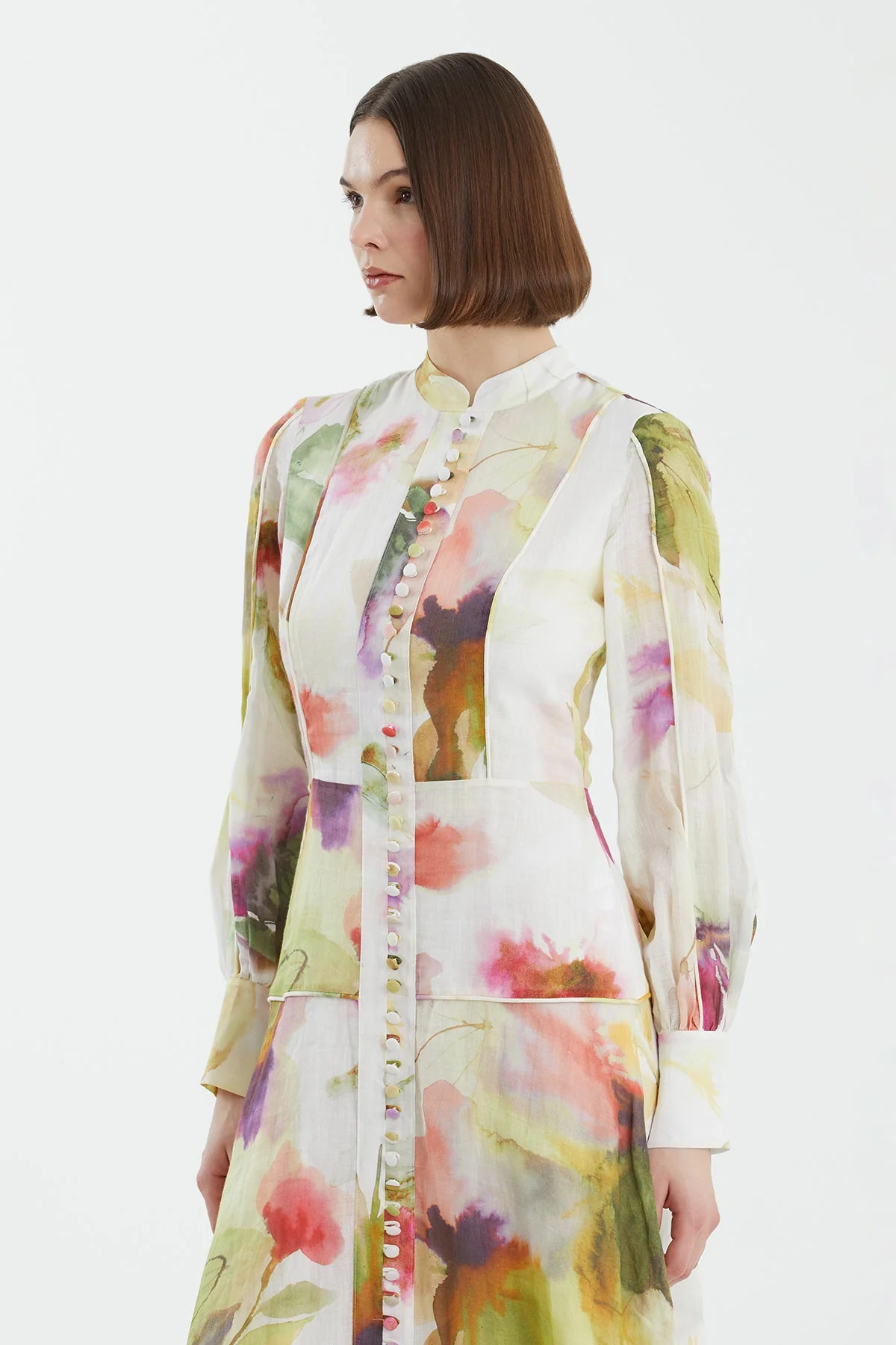 Button Detail Panel Dress